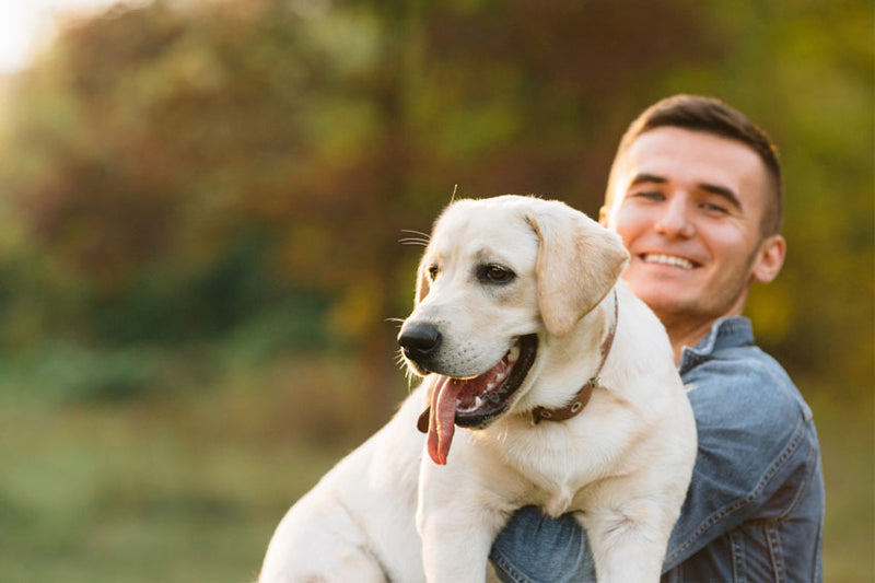The Health Benefits Of Having A Dog
