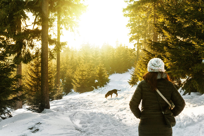 Being Active With Your Dog