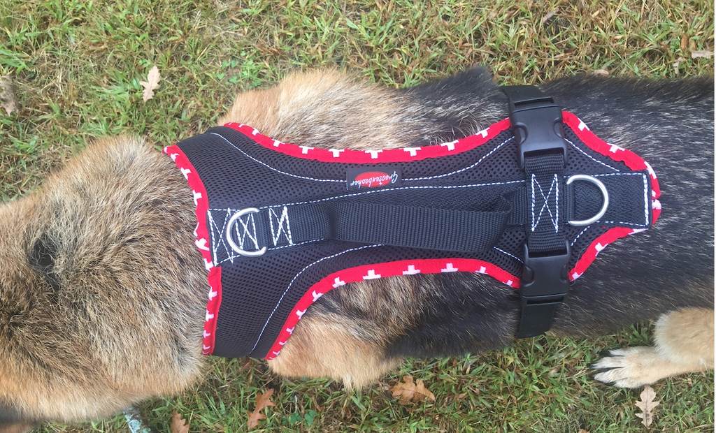 Dog Performance Gear- Fun Run Harness
