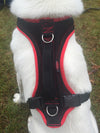 FunRun Dog Harness