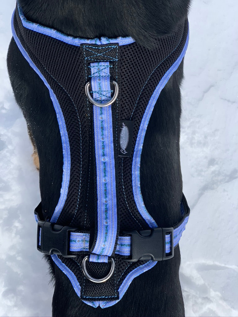 FunRun Dog Harness