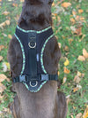 Camouflage FunRun Harness