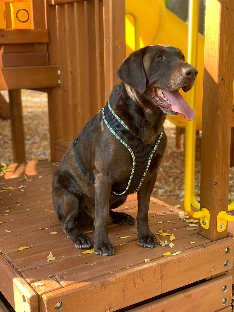 Camouflage FunRun Harness