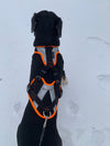 Mantrailing Harness V Back Strap (reflective with no lights)