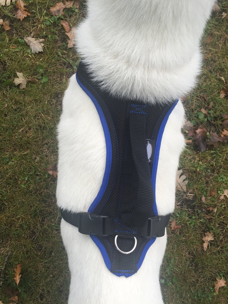 FunRun Dog Harness